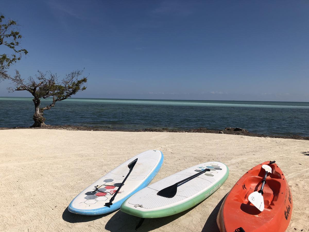 Seascape Resort & Marina 마라톤 외부 사진